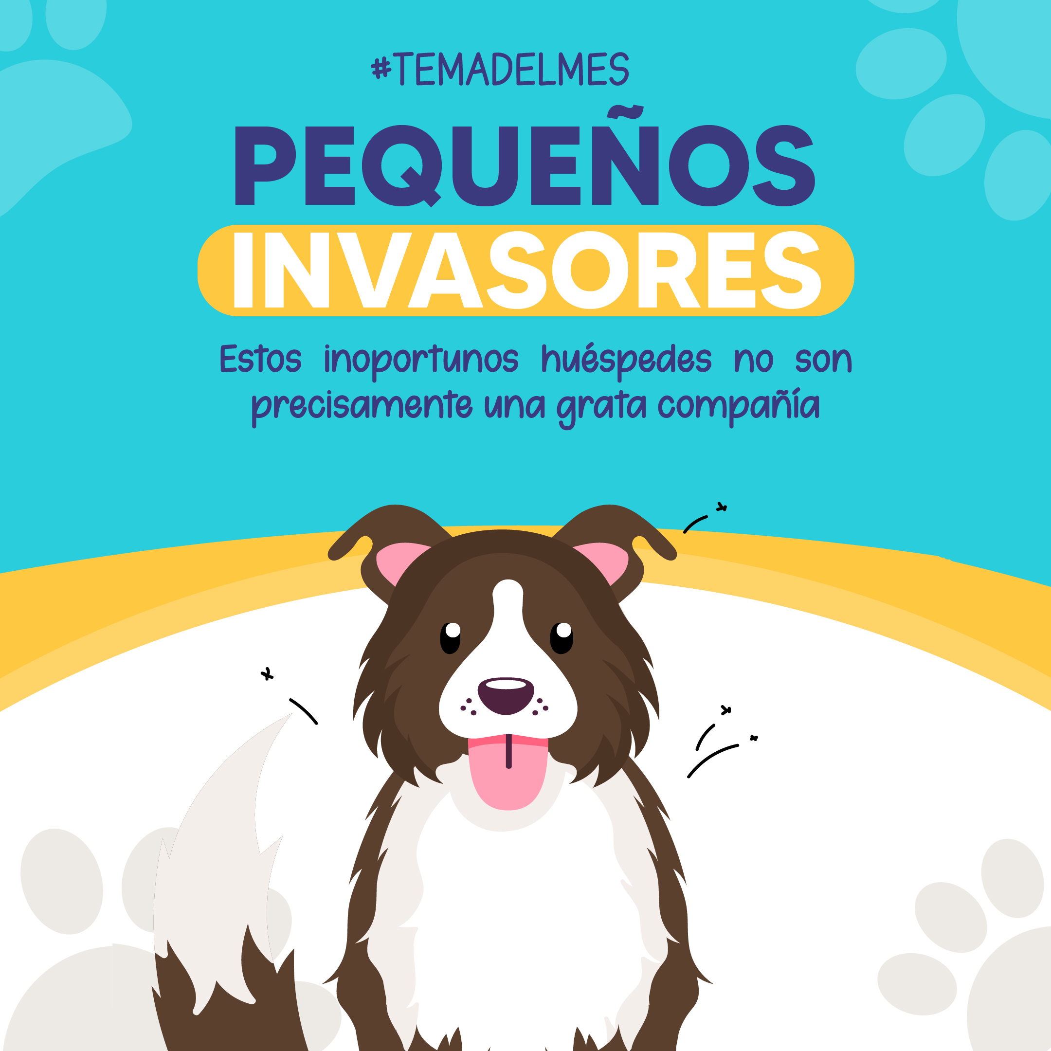 Pequeños Invasores
